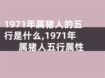 1971年属猪人的五行是什么,1971年属猪人五行属性