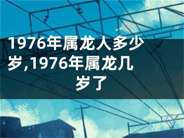 1976年属龙人多少岁,1976年属龙几岁了