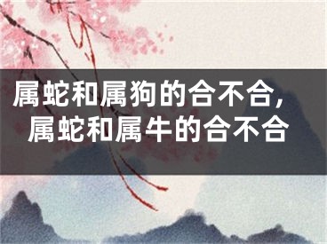 属蛇和属狗的合不合,属蛇和属牛的合不合