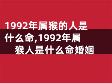 1992年属猴的人是什么命,1992年属猴人是什么命婚姻