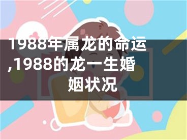 1988年属龙的命运,1988的龙一生婚姻状况