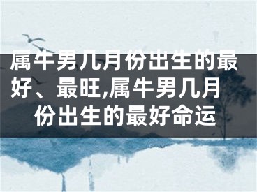 属牛男几月份出生的最好、最旺,属牛男几月份出生的最好命运