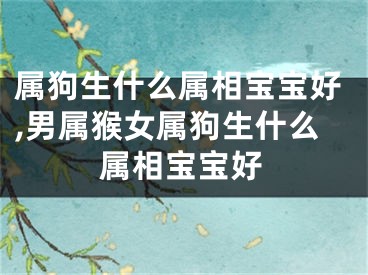 属狗生什么属相宝宝好,男属猴女属狗生什么属相宝宝好