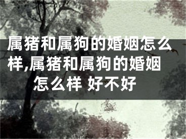 属猪和属狗的婚姻怎么样,属猪和属狗的婚姻怎么样 好不好