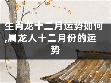 生肖龙十二月运势如何,属龙人十二月份的运势