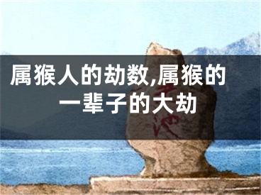 属猴人的劫数,属猴的一辈子的大劫