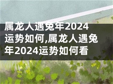 属龙人遇兔年2024运势如何,属龙人遇兔年2024运势如何看