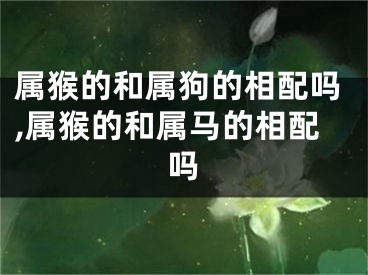 属猴的和属狗的相配吗,属猴的和属马的相配吗