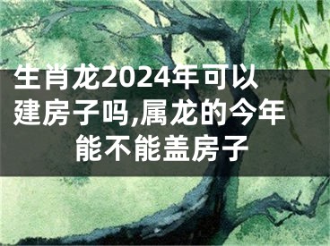 生肖龙2024年可以建房子吗,属龙的今年能不能盖房子