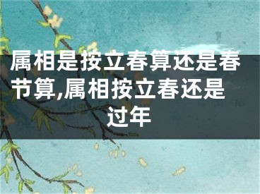 属相是按立春算还是春节算,属相按立春还是过年
