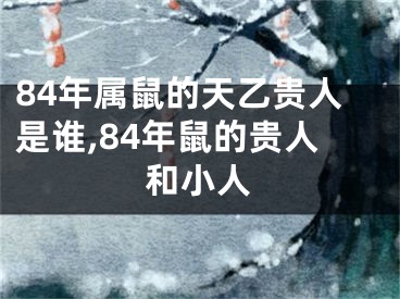 84年属鼠的天乙贵人是谁,84年鼠的贵人和小人