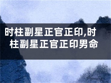 时柱副星正官正印,时柱副星正官正印男命