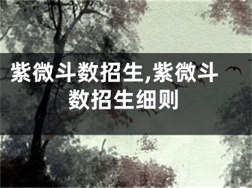 紫微斗数招生,紫微斗数招生细则