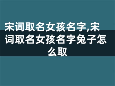 宋词取名女孩名字,宋词取名女孩名字兔子怎么取