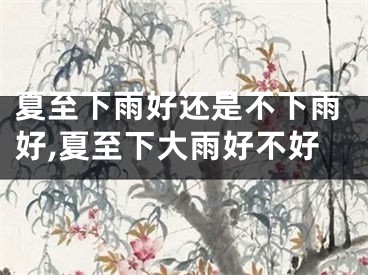 夏至下雨好还是不下雨好,夏至下大雨好不好