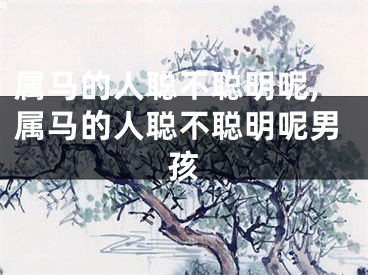 属马的人聪不聪明呢,属马的人聪不聪明呢男孩