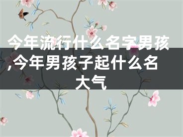 今年流行什么名字男孩,今年男孩子起什么名大气