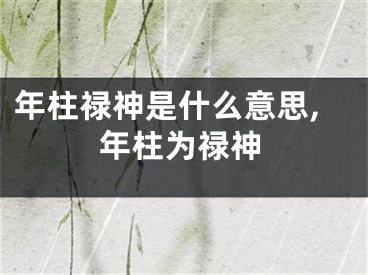 年柱禄神是什么意思,年柱为禄神
