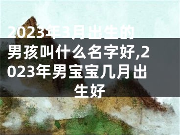 2023年3月出生的男孩叫什么名字好,2023年男宝宝几月出生好