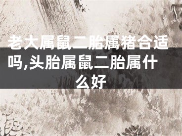 老大属鼠二胎属猪合适吗,头胎属鼠二胎属什么好