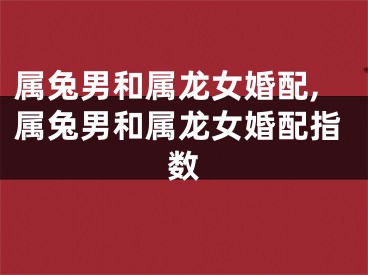 属兔男和属龙女婚配,属兔男和属龙女婚配指数