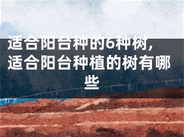 适合阳台种的6种树,适合阳台种植的树有哪些