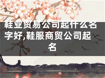 鞋业贸易公司起什么名字好,鞋服商贸公司起名