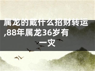 属龙的戴什么招财转运,88年属龙36岁有一灾