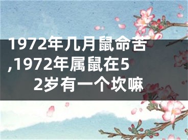 1972年几月鼠命苦,1972年属鼠在52岁有一个坎嘛