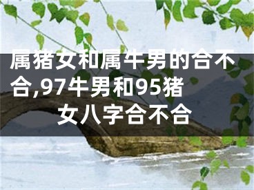 属猪女和属牛男的合不合,97牛男和95猪女八字合不合
