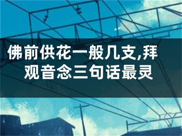 佛前供花一般几支,拜观音念三句话最灵