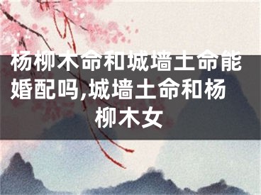 杨柳木命和城墙土命能婚配吗,城墙土命和杨柳木女