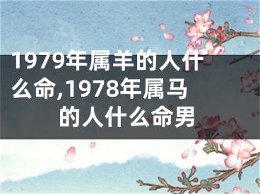 1979年属羊的人什么命,1978年属马的人什么命男