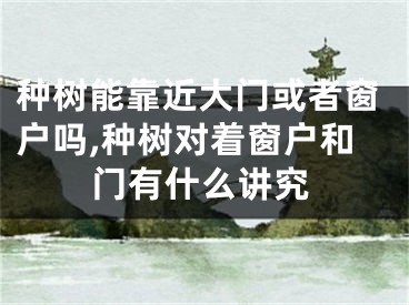 种树能靠近大门或者窗户吗,种树对着窗户和门有什么讲究