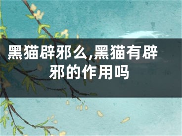 黑猫辟邪么,黑猫有辟邪的作用吗