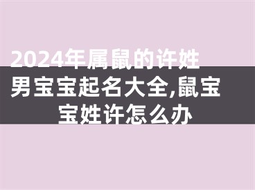 2024年属鼠的许姓男宝宝起名大全,鼠宝宝姓许怎么办