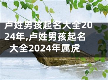 卢姓男孩起名大全2024年,卢姓男孩起名大全2024年属虎