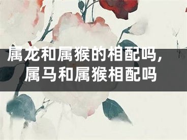属龙和属猴的相配吗,属马和属猴相配吗