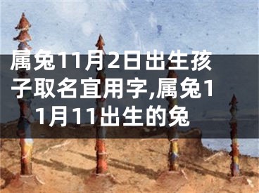 属兔11月2日出生孩子取名宜用字,属兔11月11出生的兔