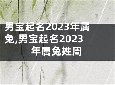 男宝起名2023年属兔,男宝起名2023年属兔姓周