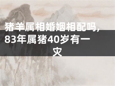 猪羊属相婚姻相配吗,83年属猪40岁有一灾