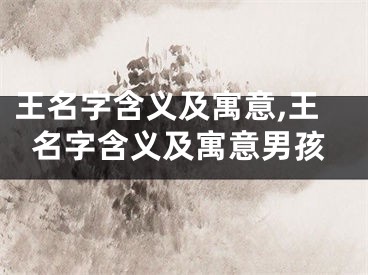 王名字含义及寓意,王名字含义及寓意男孩