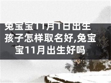 兔宝宝11月1日出生孩子怎样取名好,兔宝宝11月出生好吗