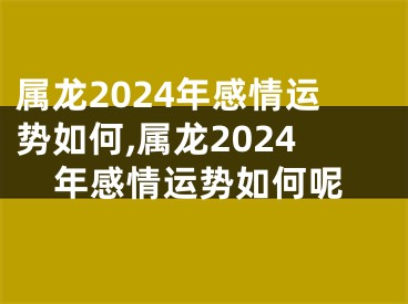 属龙2024年感情运势如何,属龙2024年感情运势如何呢