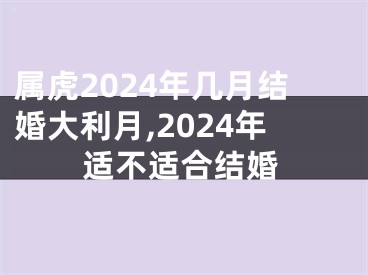属虎2024年几月结婚大利月,2024年适不适合结婚