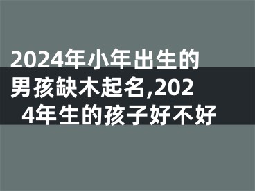 2024年小年出生的男孩缺木起名,2024年生的孩子好不好