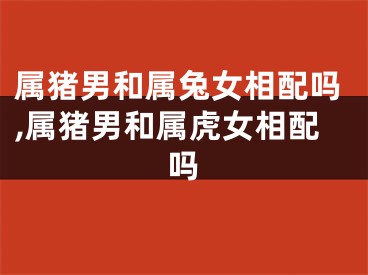 属猪男和属兔女相配吗,属猪男和属虎女相配吗