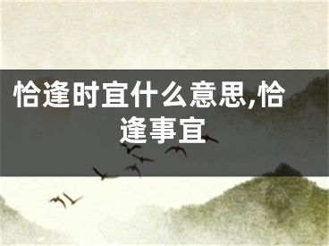 恰逢时宜什么意思,恰逢事宜