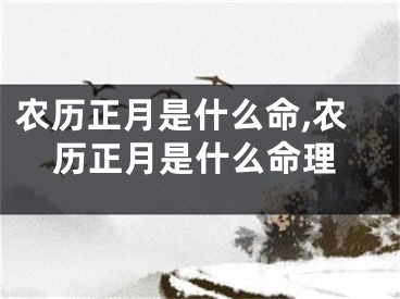 农历正月是什么命,农历正月是什么命理