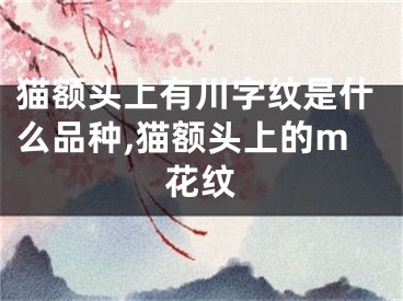猫额头上有川字纹是什么品种,猫额头上的m花纹